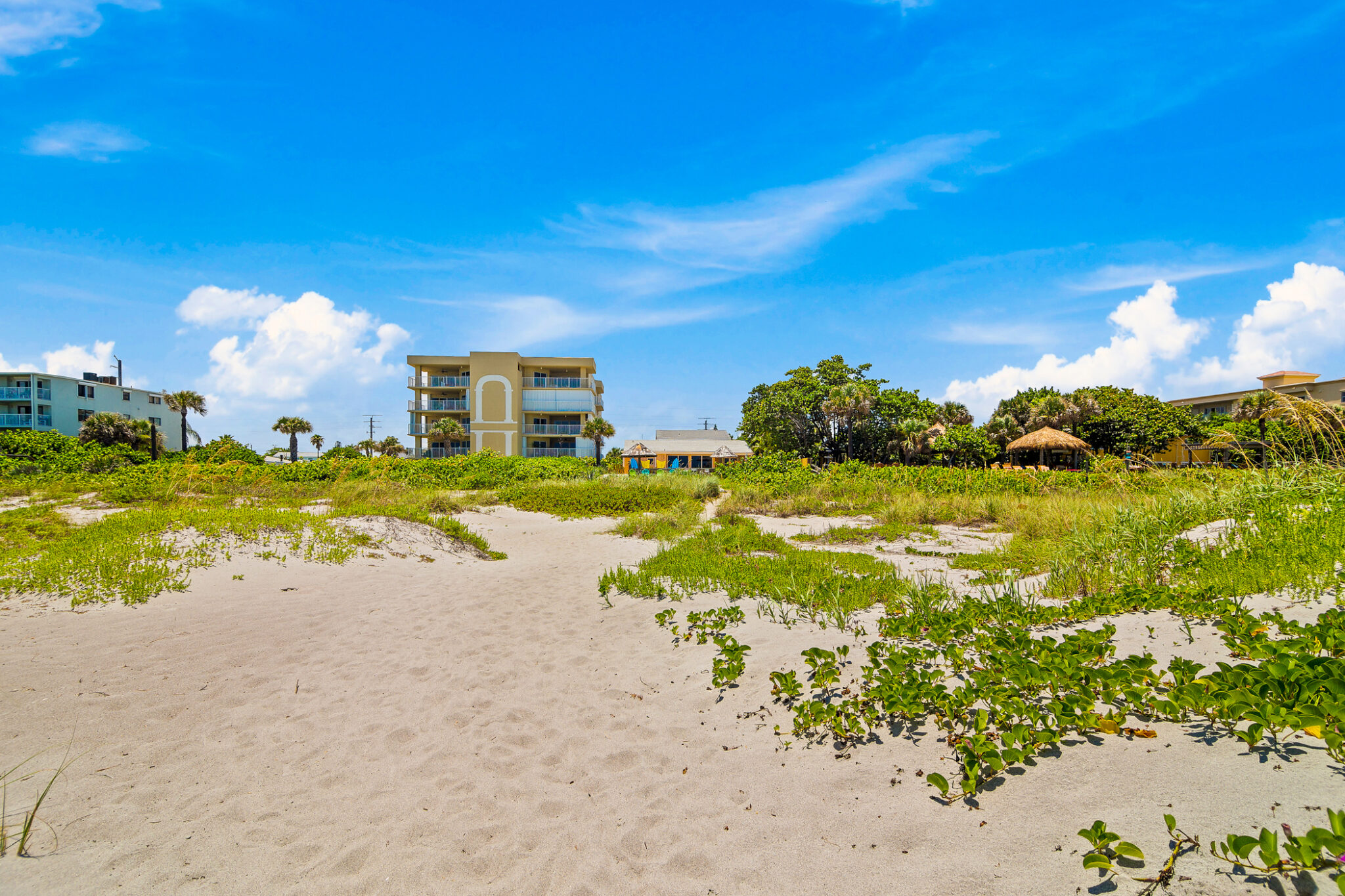 Sandy beach with vegetation and rear view of Coco Sands cottages